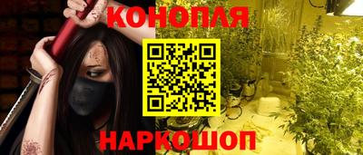 индика Заводоуковск