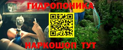 индика Заводоуковск