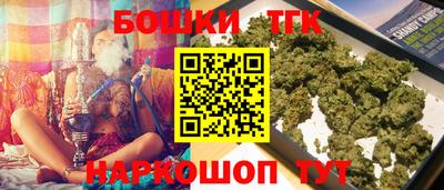 индика Заводоуковск