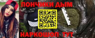 индика Заводоуковск