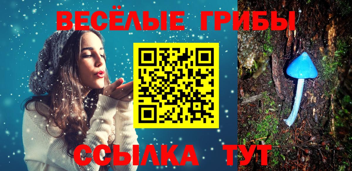 Тулун  Псилоцибиновые грибы Magic Shrooms  Вход с VPN  сколько стоит  Галлюциногенные грибы Cubensis 
